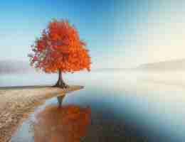 css怎​么‍打‌开​网‌页﻿